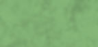 BHH Leaf Background - Green 02.jpg