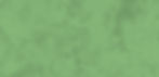 BHH Leaf Background - Green 02.jpg
