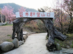 台灣百岳｜司馬庫斯｜登山美景