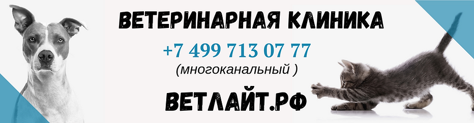ветеринарная клиника.png