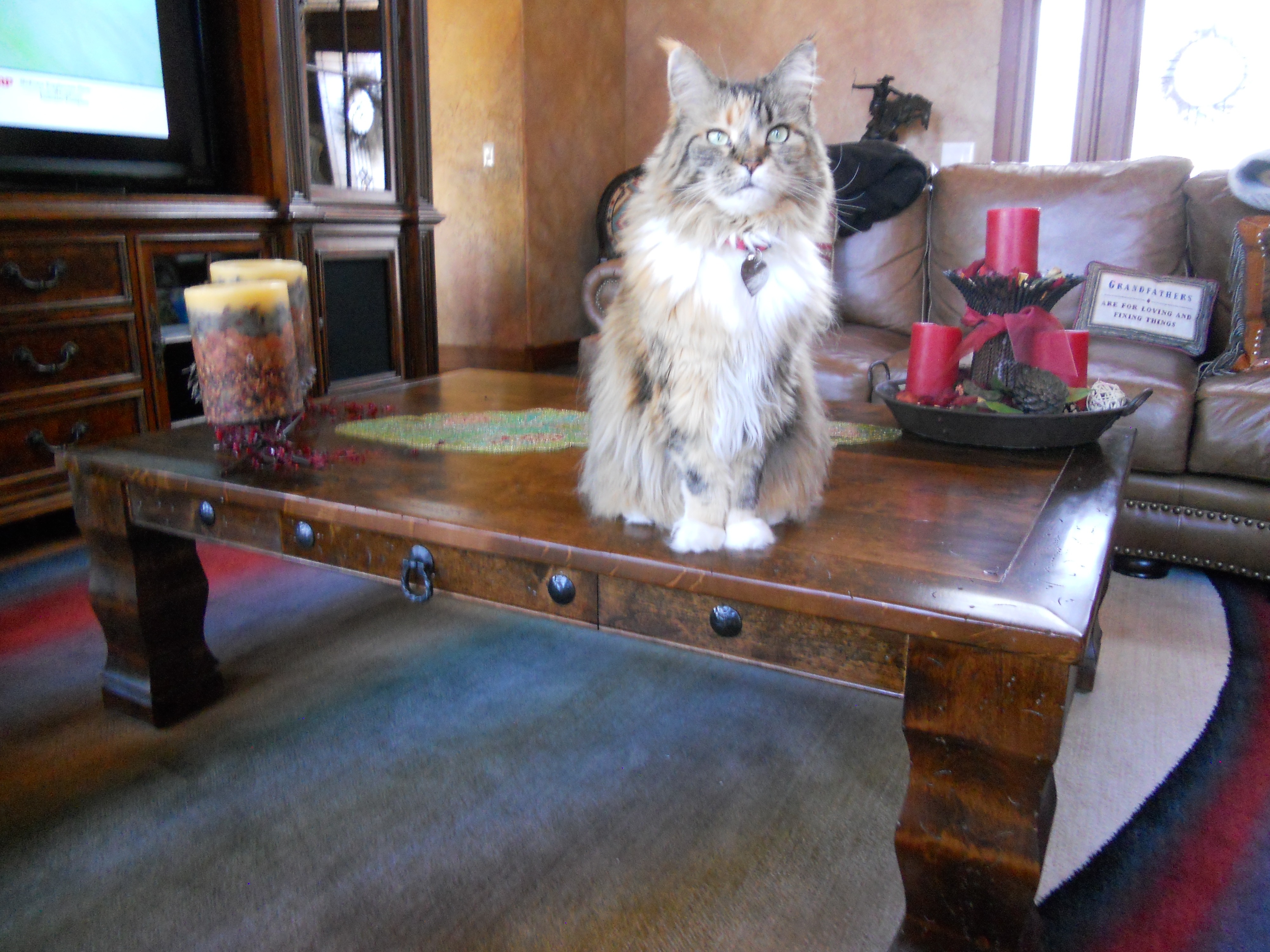 Durango Coffee Table