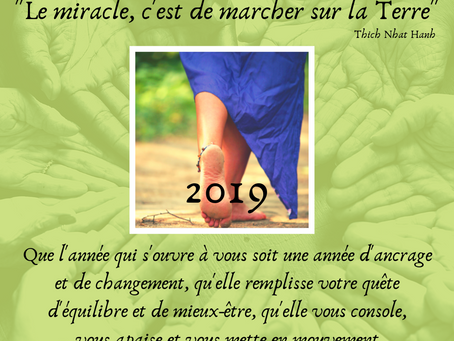 Mes voeux pour 2019...