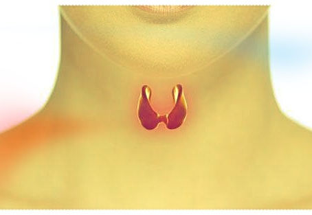 Hypothyroïdie,
comment la naturopathie peut vous aider...