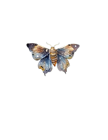 Relax_Moth-removebg-preview.png