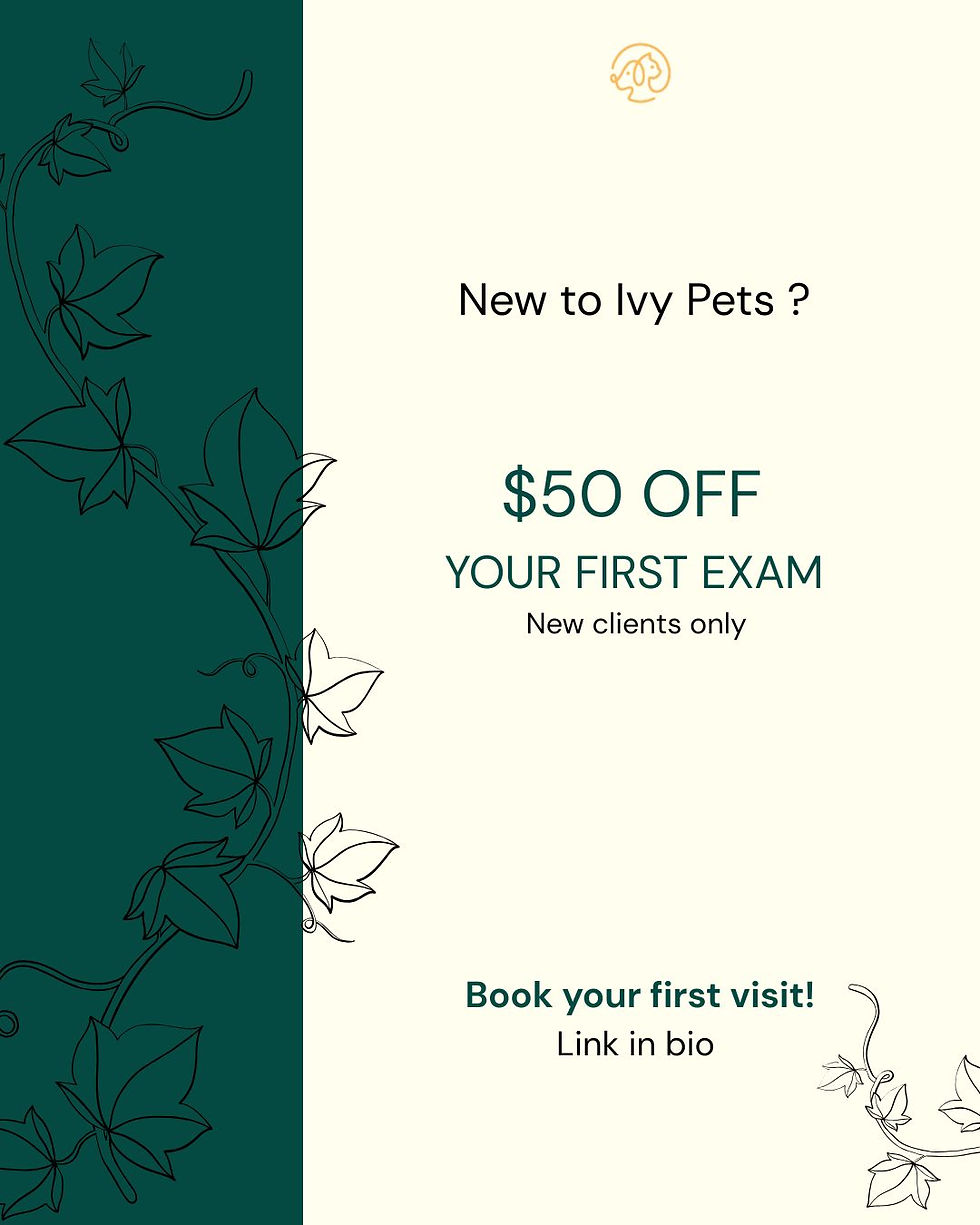 NEW TO IVY PETS $50 OFF YOUR FIRST EXAM New clients only BOOK YOUR FIRST VISIT →.jpg