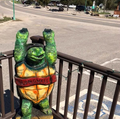 Carved wooden turtle statue on deck 