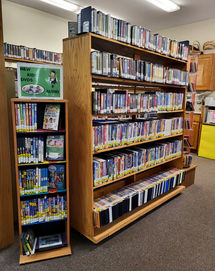 Wooden bookshelves full of books