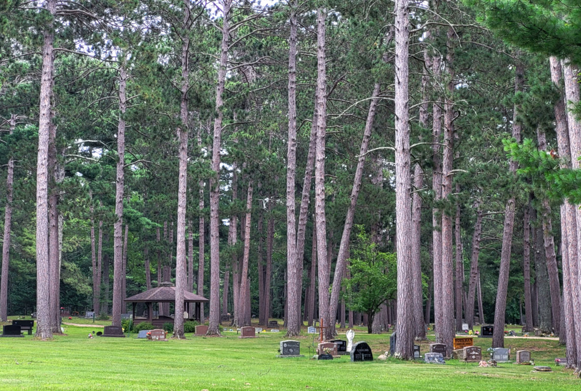 City Cemetery with tall trees, tombstones, and a small wooden gazebo.