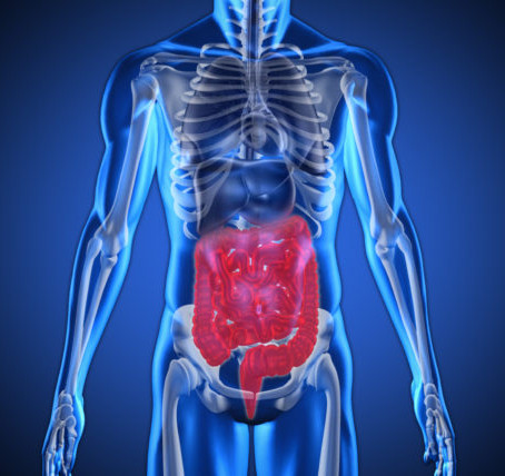 What is the cause of IBS?