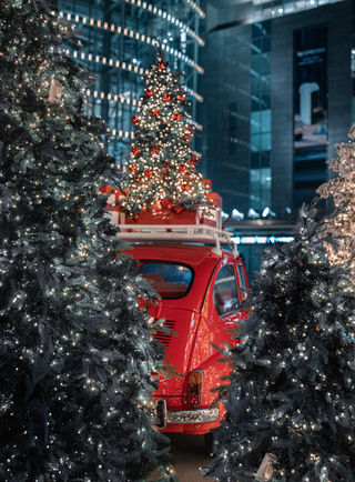 Carro sedán en medio de pinos de navidad