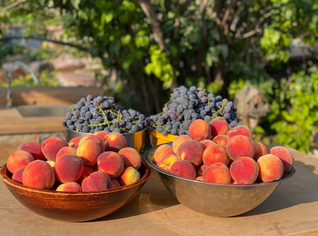Ripe fruit bowl for clean slate reset