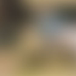 南倫敦之王Jamie T 挾新單曲《The Old Style Raiders》回歸樂壇/ South London King Jamie T returns with new records