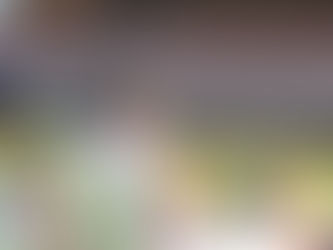 教職の羨ましいところ