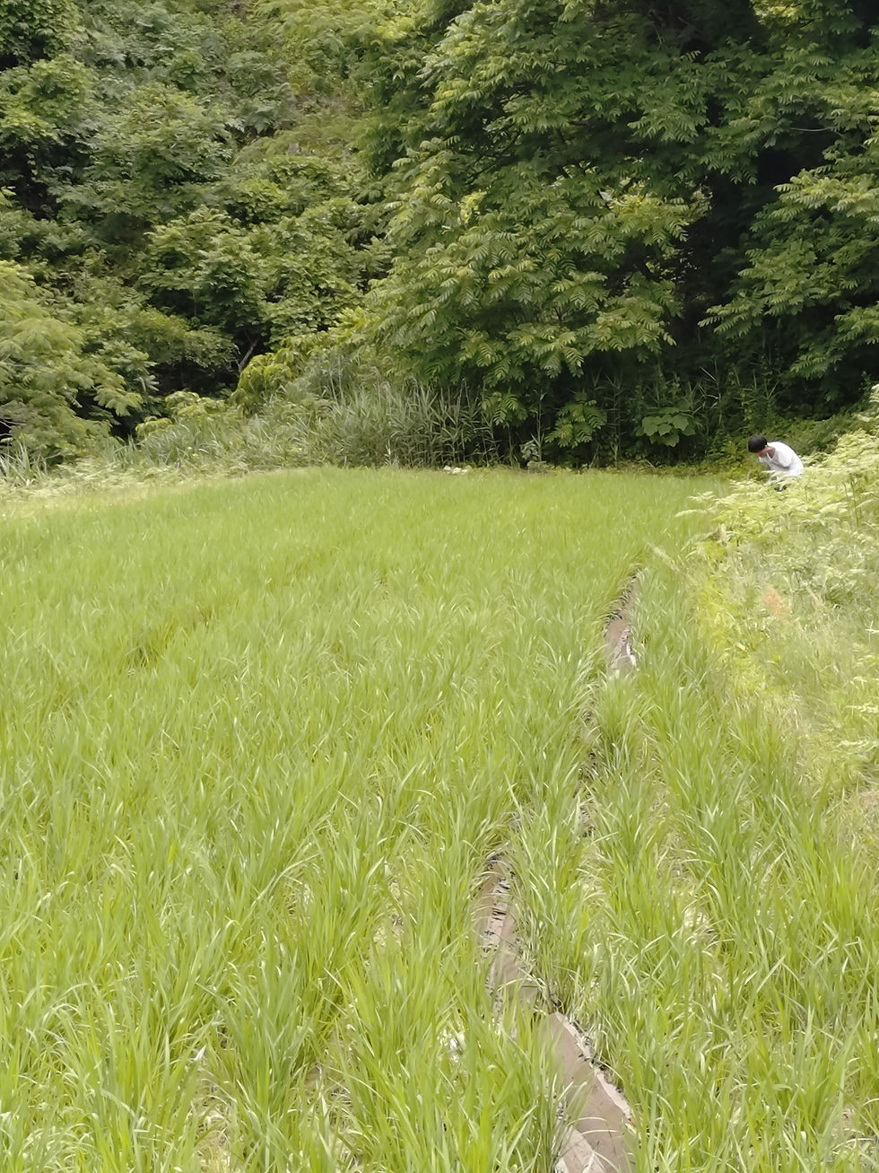 うれしかった事6/8(月)