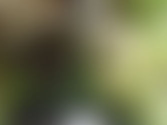 今日から嬉しかったこと、一つ