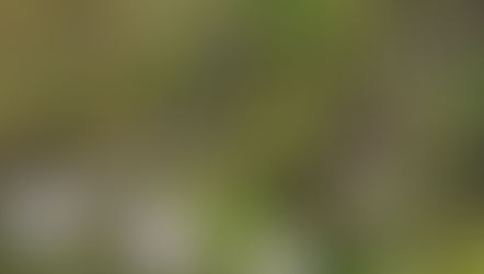 昔を懐かしみ前を向く
