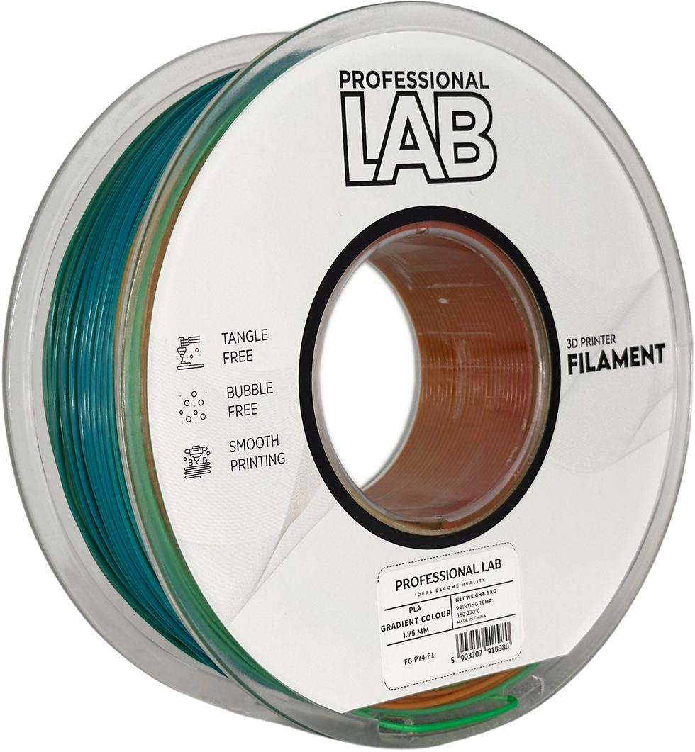 PLA Standard Regenbogen Filament 1,75 mm 1kg – Prof. Lab
