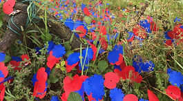 Remembrance