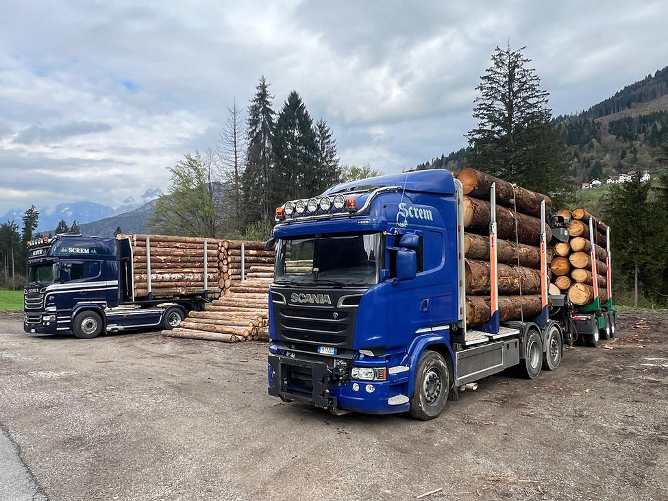 Immagine WhatsApp 2025-04-24 ore 09.00.24_93967b7c.jpg