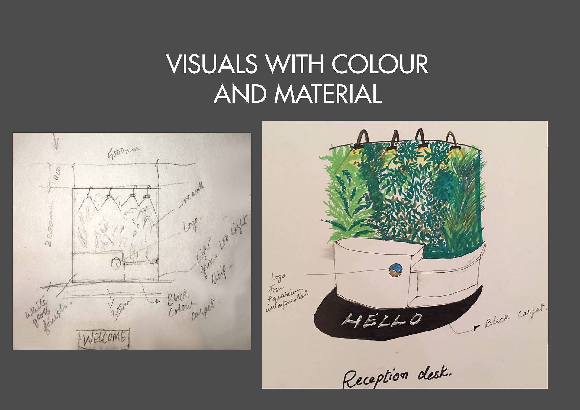 VISUAL 1