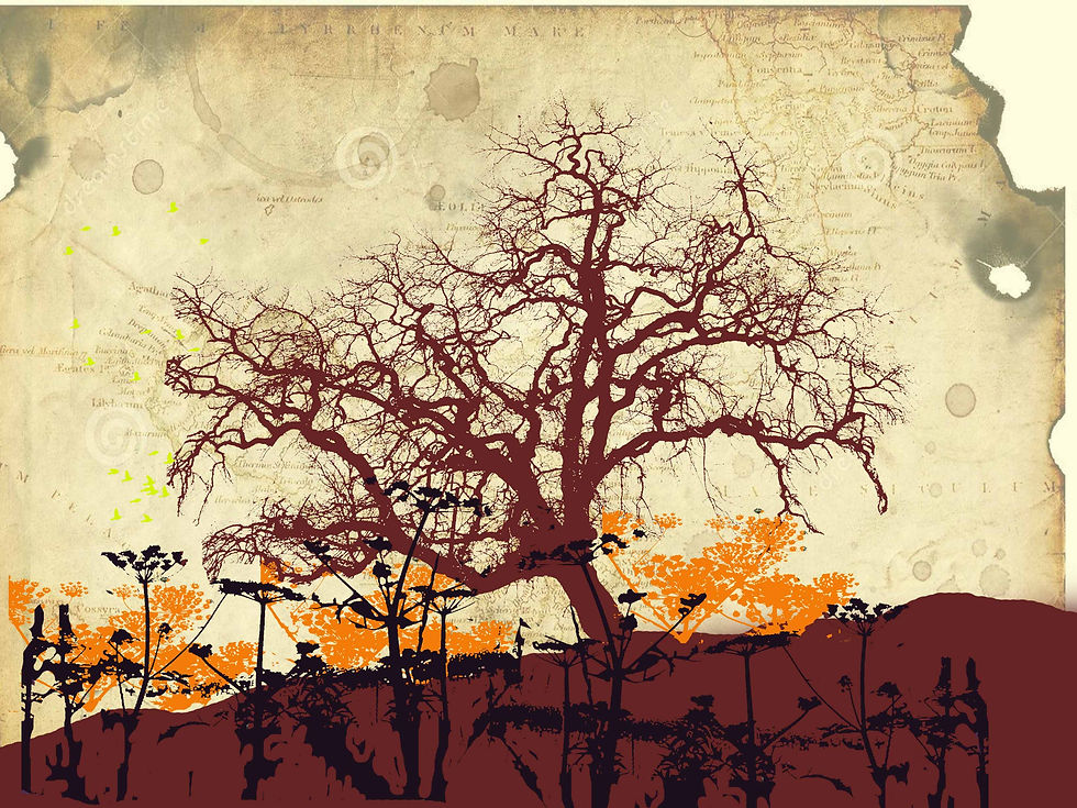 My First work in Adobe Ps