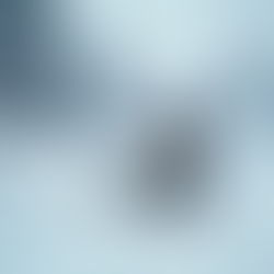 Unique Snowmobile Adventures in Finnish Lapland