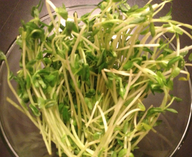 Pea Shoots