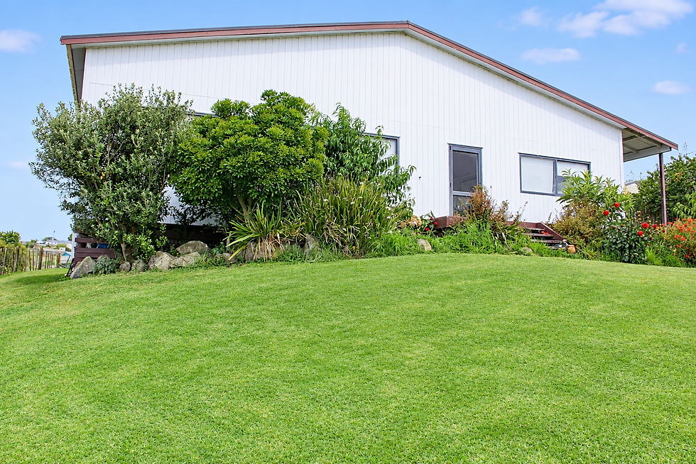Sunny White-Sided House and Garden.png