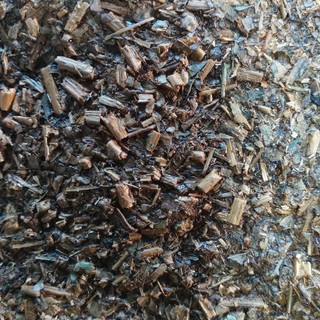 20191006_182617.jpg
