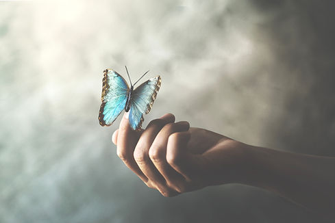 a butterfly leans on a woman's hand.jpg