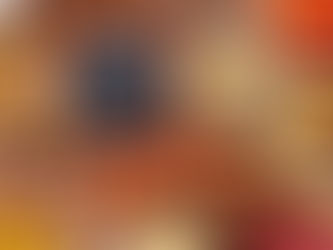 Vitamin/Mineral Supplements