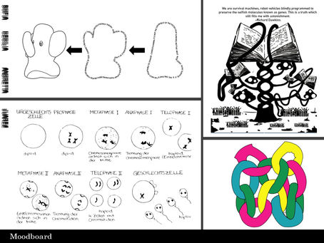 Moodboard and Sketches