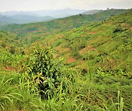 trekking in rwanda
