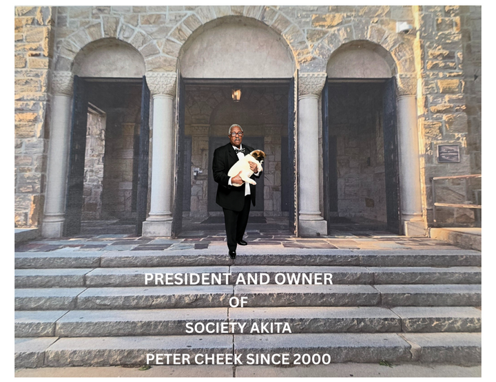 Untitled (Trifold Brochure).png