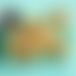 Crunchy rice-paper wraps