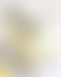 Blueberry lemon overnight oats