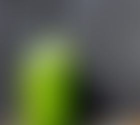 GREEN SMOOTHIE (MODERATE)