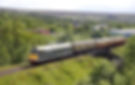 GB_fern_Blae_rail_1271_01.jpg