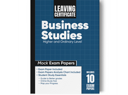 Leaving Certificate 2024 Business Studies Higher Level: Section 3 - Question 4
