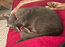IMG-20250629-WA0015.jpg