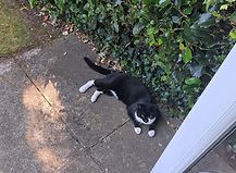 IMG-20250630-WA0000_edited.jpg
