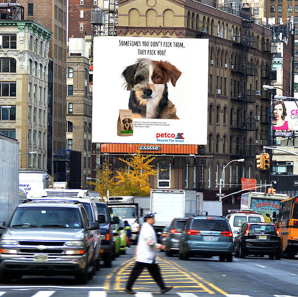 Dog Petco Insert City_1.jpg