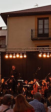 2019-02-09 Concierto Zaragoza.jpg