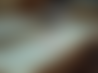 Copyright Essentials Every Business Owner Should Know