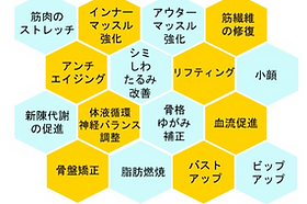 バイオウェーブ | B&F株式会社