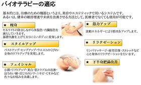 バイオウェーブ | B&F株式会社 バイオウェーブ | B&F株式会社