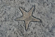 Stamped concrete DE