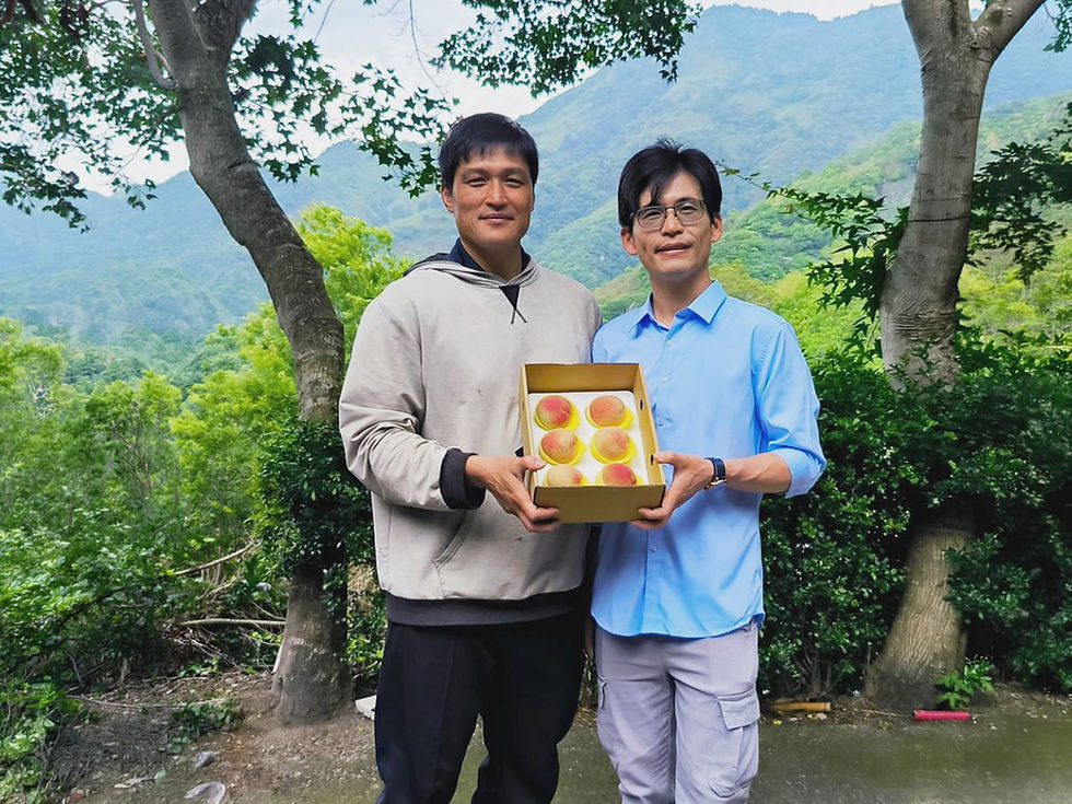 兩名男子在山林果園中合力捧著一盒六顆五月桃,後方可見蓊鬱山景。