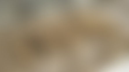 Pourquoi est-il urgent de légaliser le cannabis en France ? L’arrêt des trafics