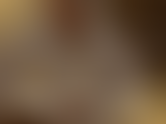 Papa Francisco: o Pastor da Esperança, do Cuidado e da Revolução da Ternura